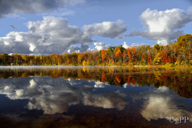 Healy Lake Fall Color