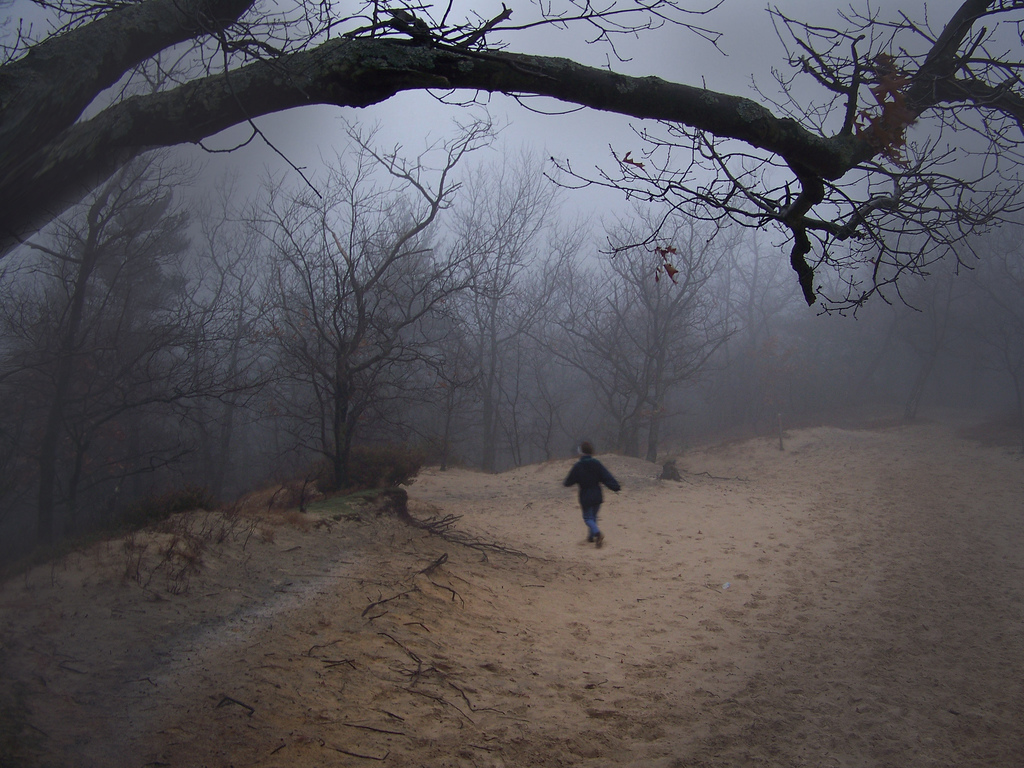 Nightmare at Muskegon State Park II by otisourcat