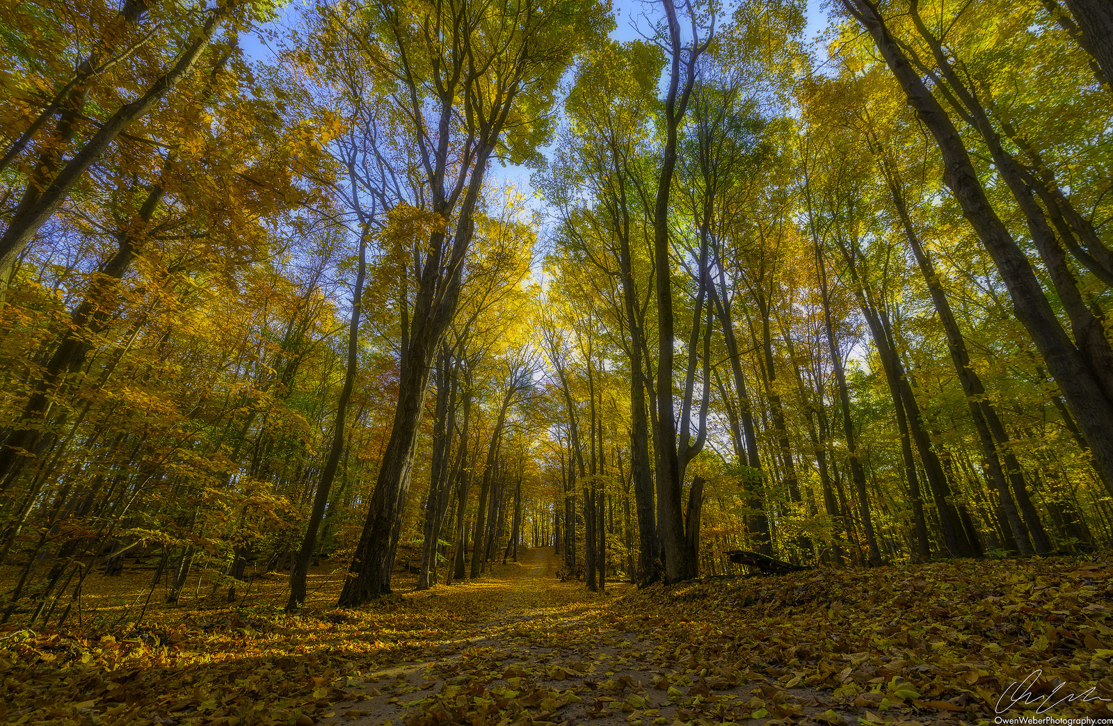 Walking into an Autumn Rainbow