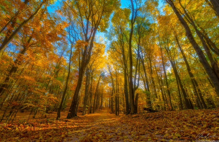 Walking into an Autumn Rainbow