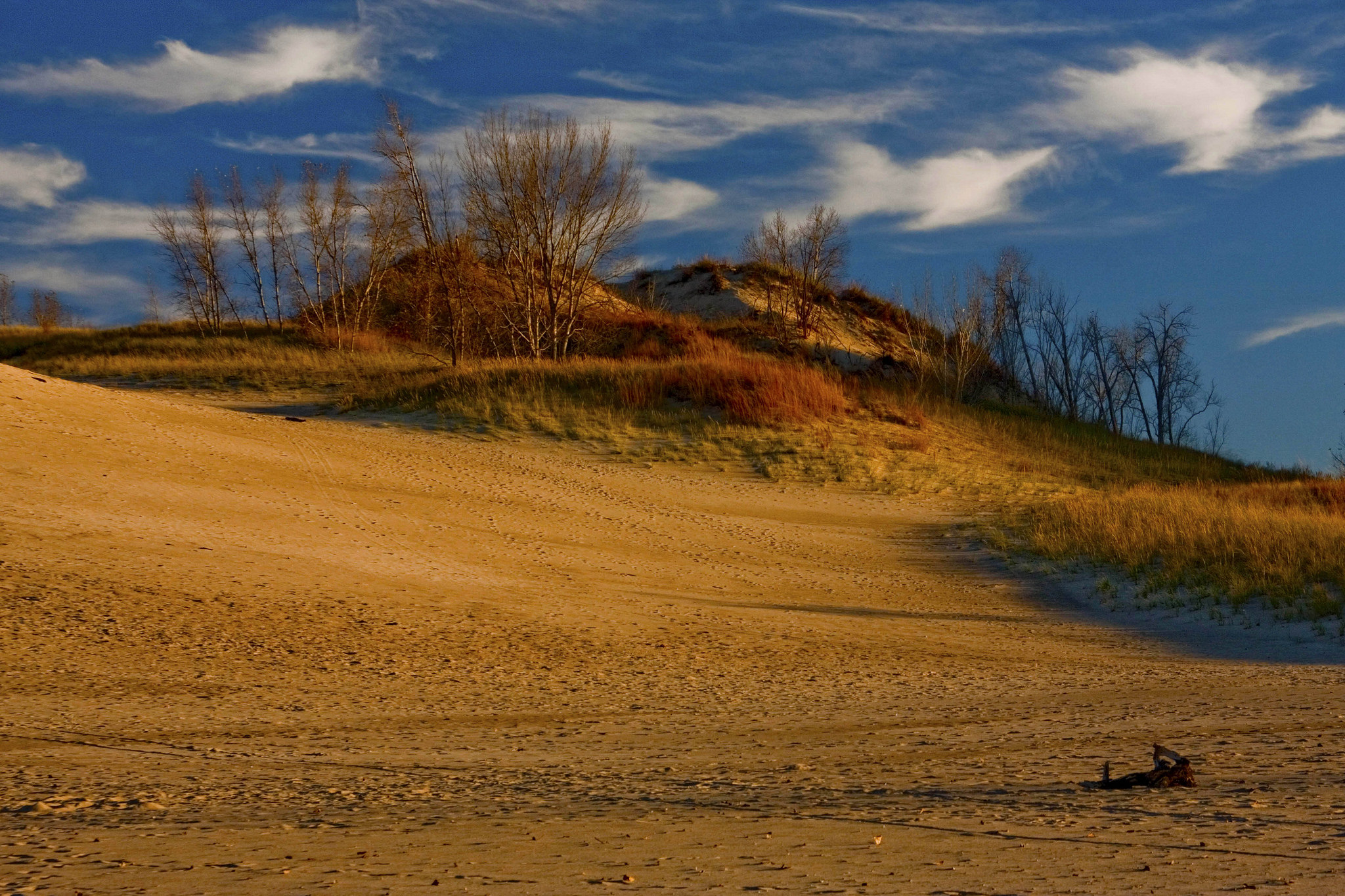 Warren Dunes State Park Sawyer Michigan