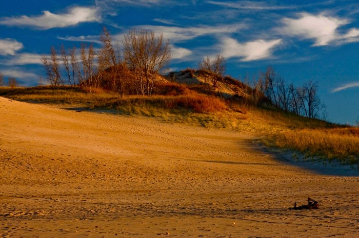 Warren Dunes State Park Sawyer Michigan