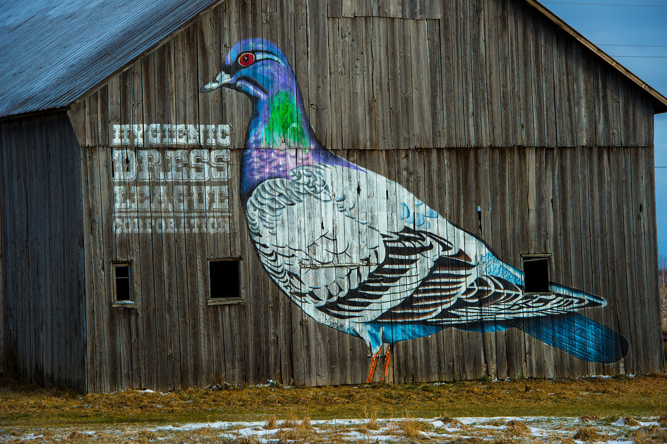 Hygenic Dress League