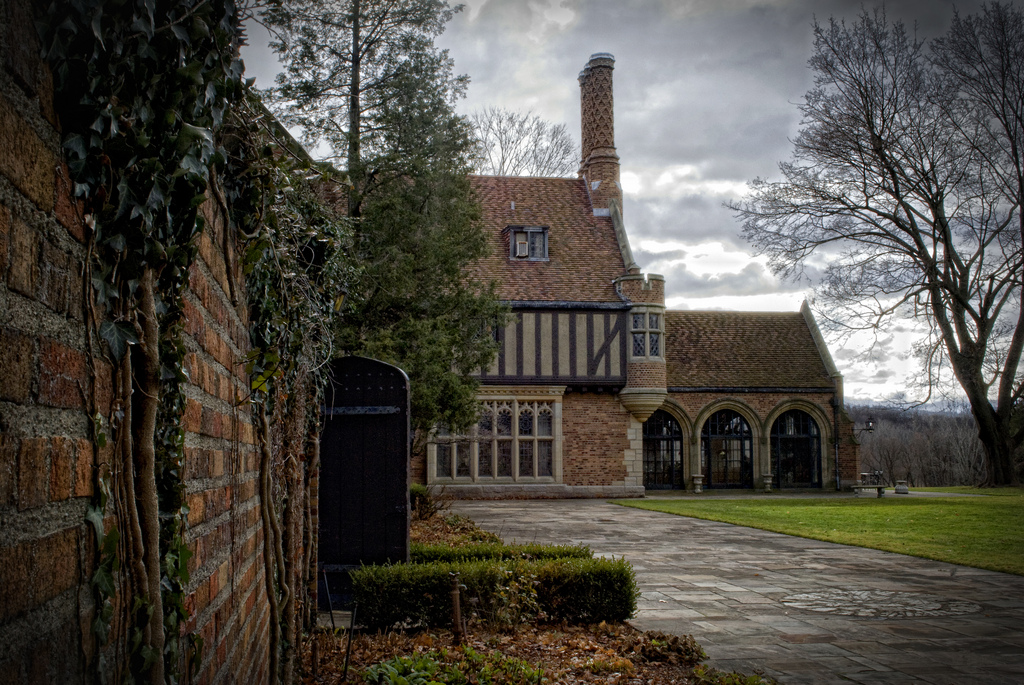 Meadowbrook Castle by Anna Lysa