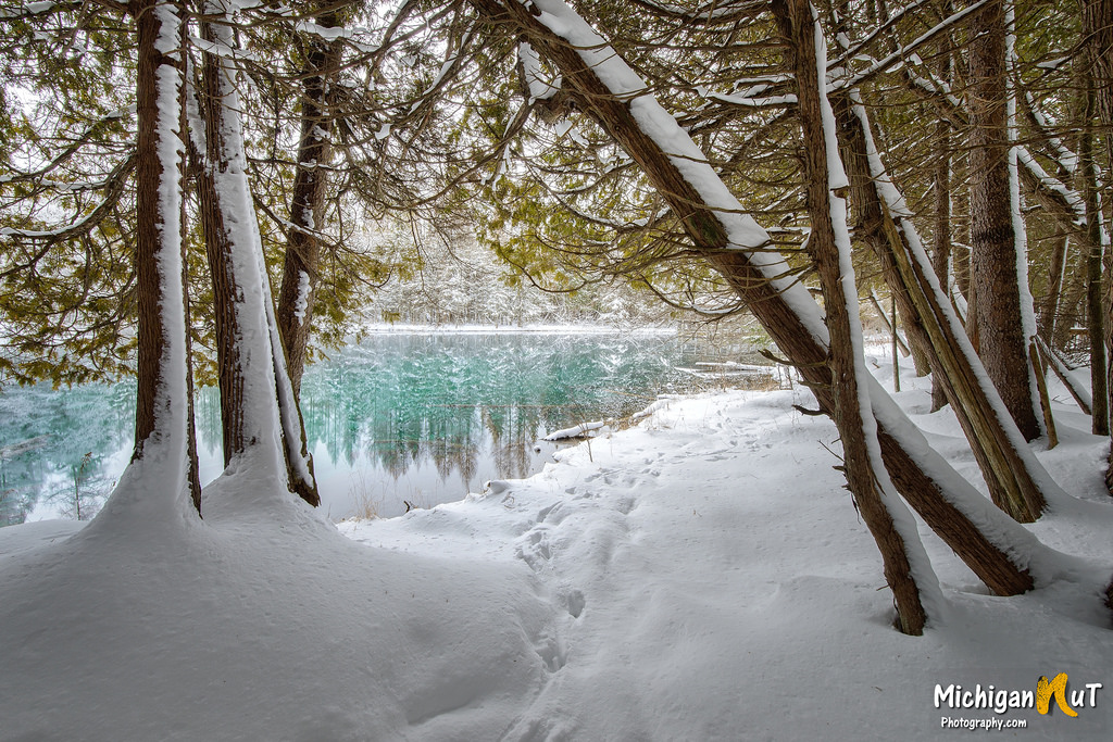 Deer Tracks - Kitch-iti-Kipi
