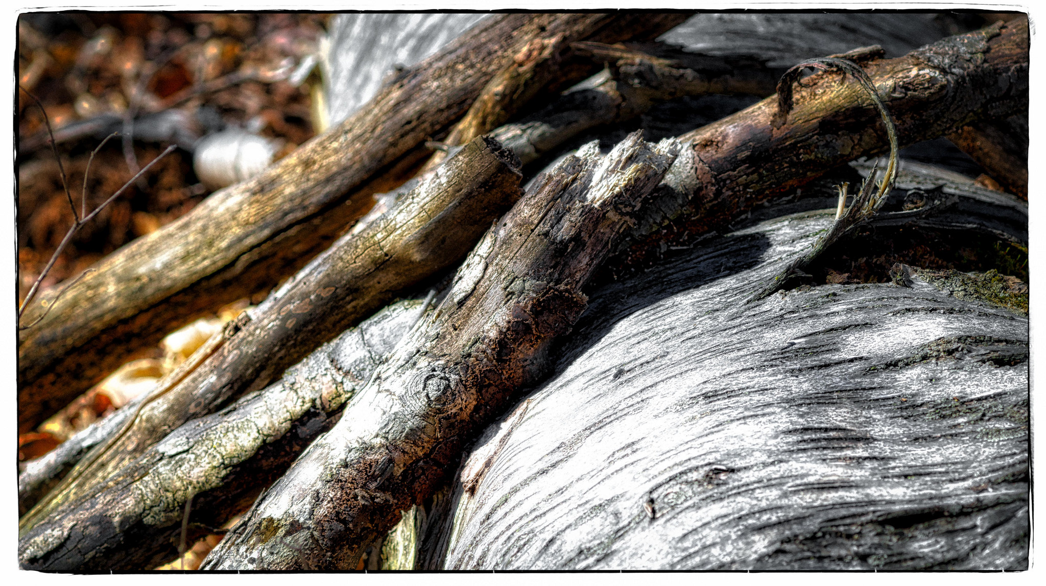 Branches to Branches