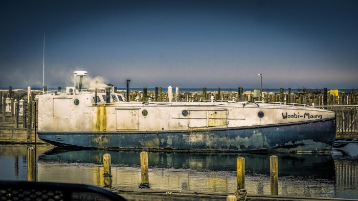 Waabi-Maang White Loon