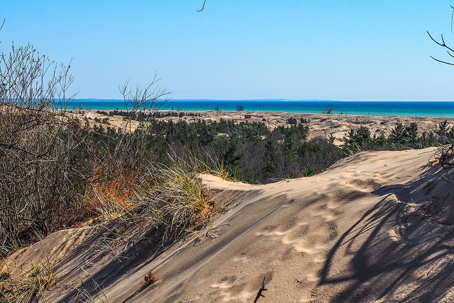Ludington State Park Skyline Trail