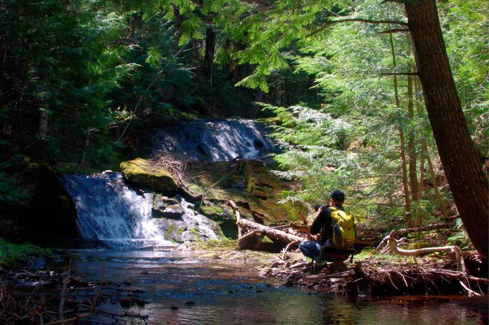 Union Gorge Waterfalls