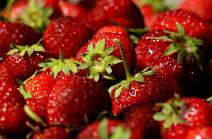 Fresh Picked Strawberries