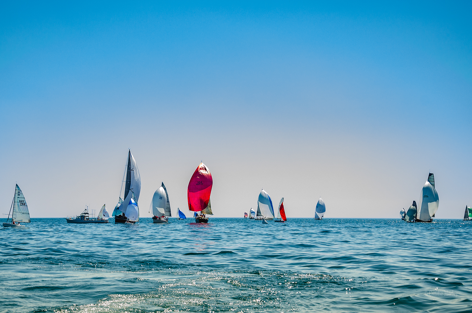 Holland, Mi  Sailboat City by Cyndie M