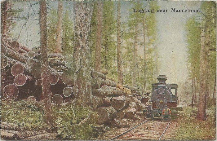 Mancelona Logging and a Shay Locomotive