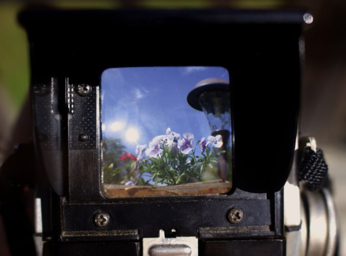 Looking Through to Another Time