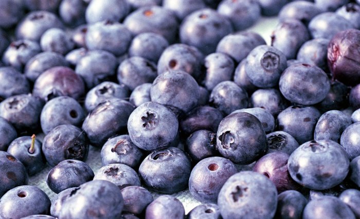 july-blueberries-by-mark-obrien