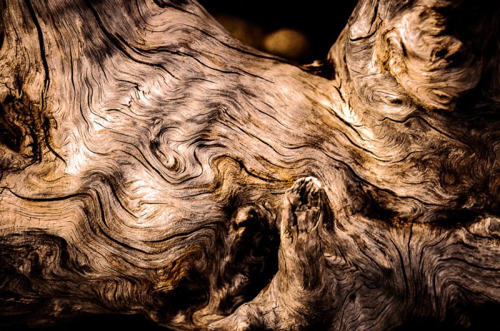 set-adrift-on-memory-bliss