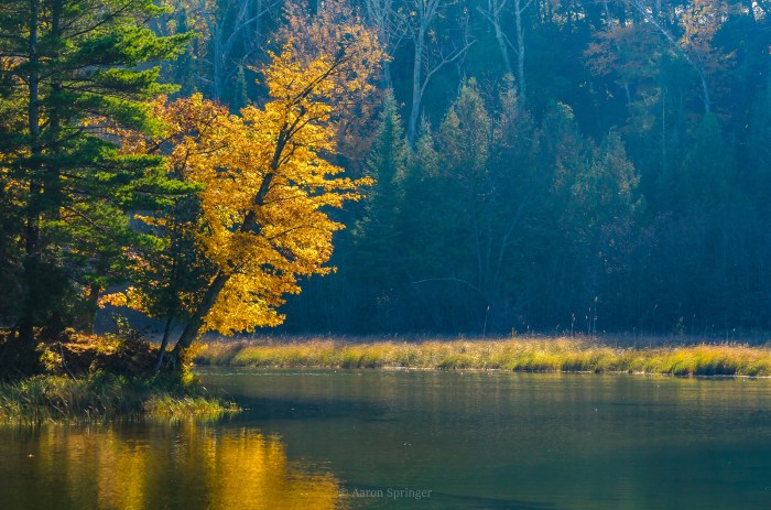 fall-color-on-the-platte-river