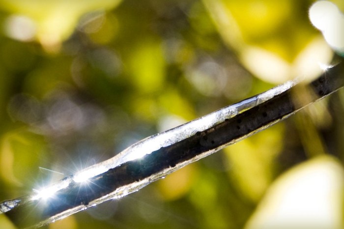 an-ode-to-the-winter-solstice