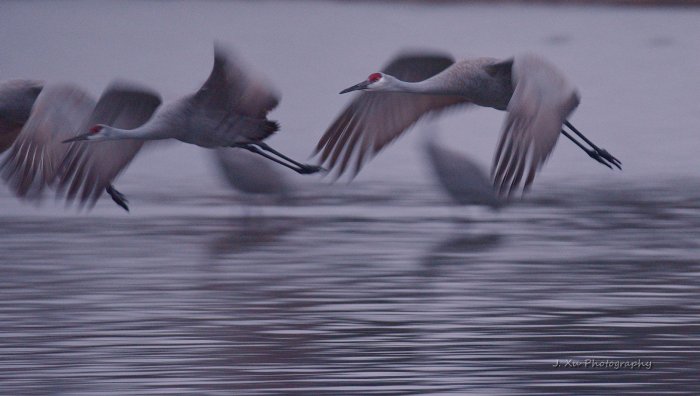 good-morning-by-jiafan-john-xu