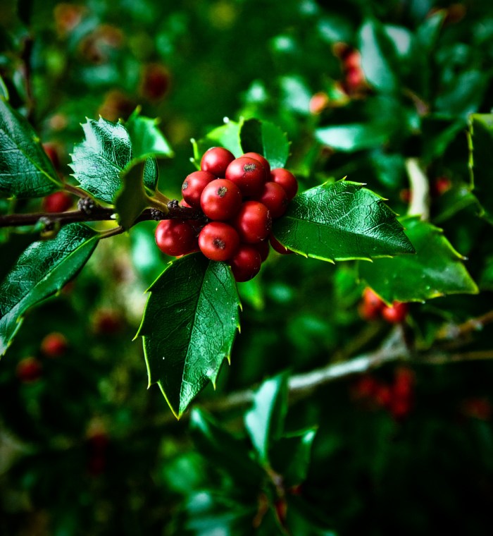 saugatuck-fall-2009-by-richarddemingphotography