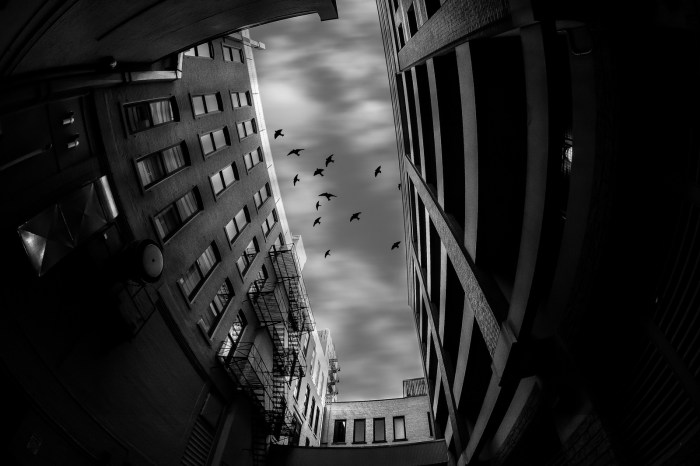 alley-adventures-jerry-james