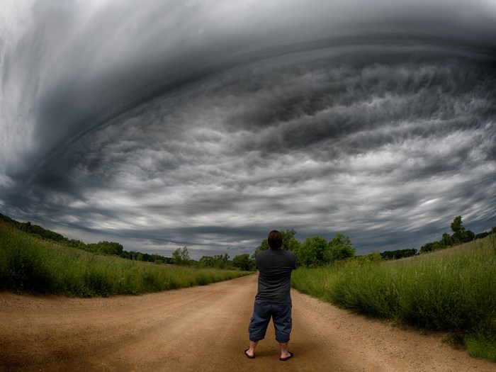 The UFO Show by Jamie MacDonald