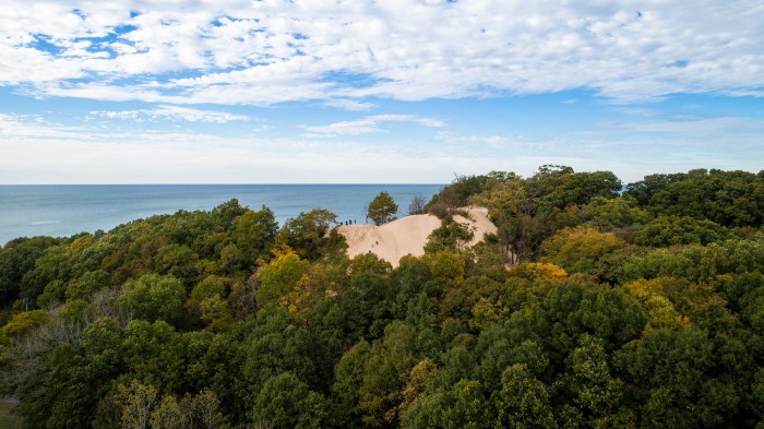 Dune Climbers by Bill Dolak