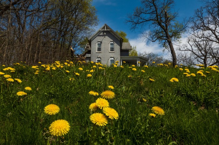 Looking up from West Main Street in Kalamazoo by William Dolak