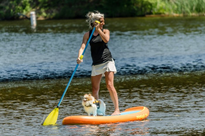 Paddle Board Dog by Jack