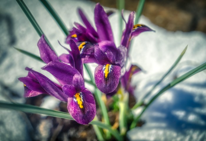 Perseverance by Mark Smith