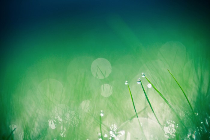 Untitled by Brooke Pennington