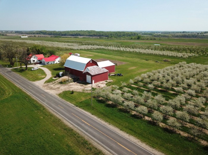 Elk Rapids Cherry Orchards