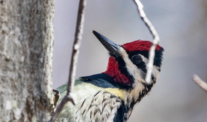 Eye of Reflection by Joshua DuPuis