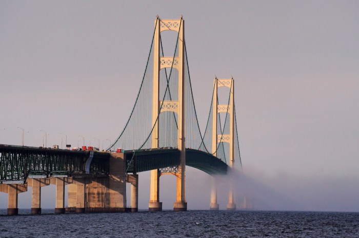 Mackinac Bridge by Daniel L