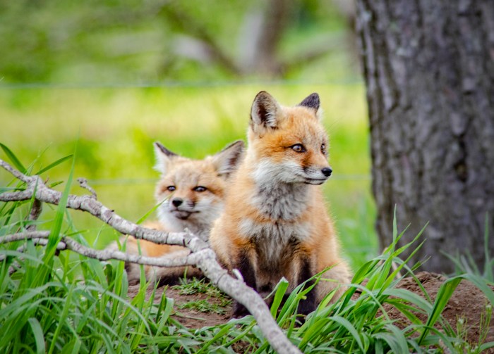 Taking in the Surroundings by TP Mann