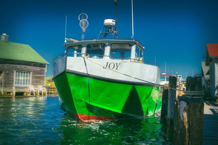 Buoyant Joy by Mark Smith