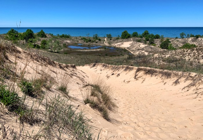 Heading down to the beach - Warren Dunes by Mark Swanson