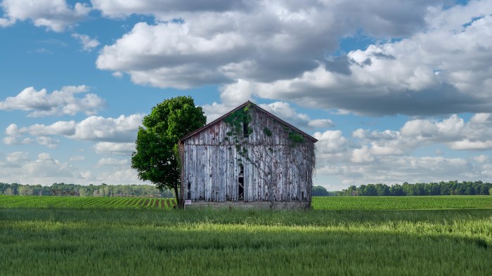 I'm Still Standin' by Third Son