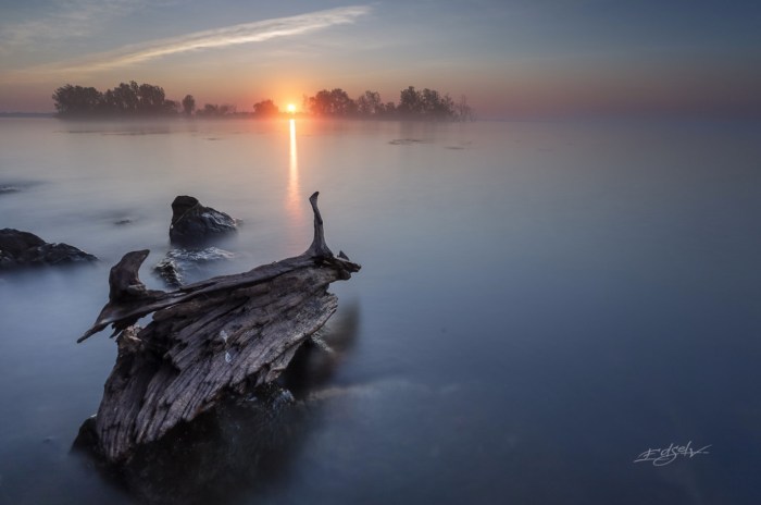 Untitled by Etzel Noble