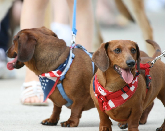 Aren't They Adorable? by StormchaserMike Photography