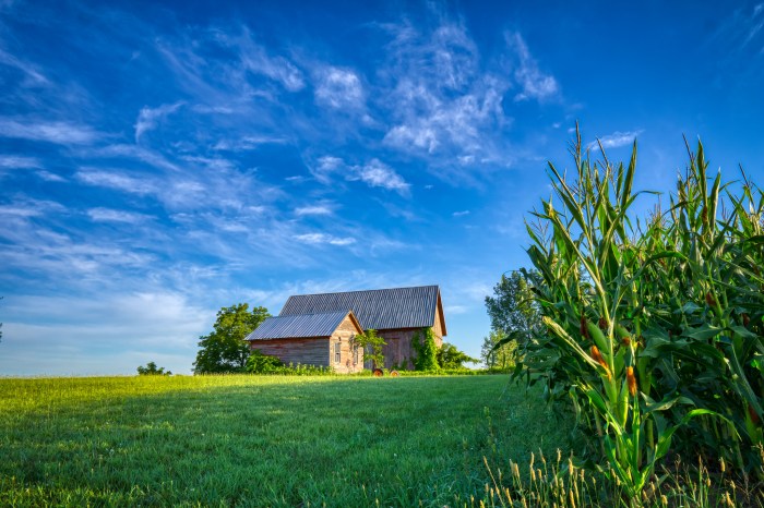 Bright New Day by Mark Smith