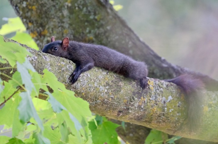 Heat Wave by Dan Gaken