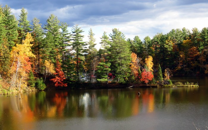 Reflected colors by Ann Fisher