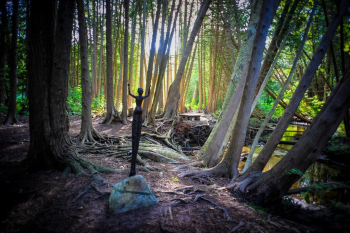 Swamp Angel by Mark Smith