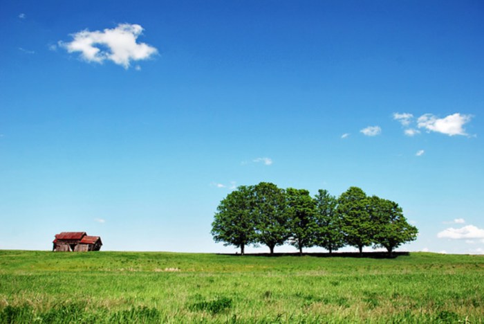 The Boonies by Jason Rydquist