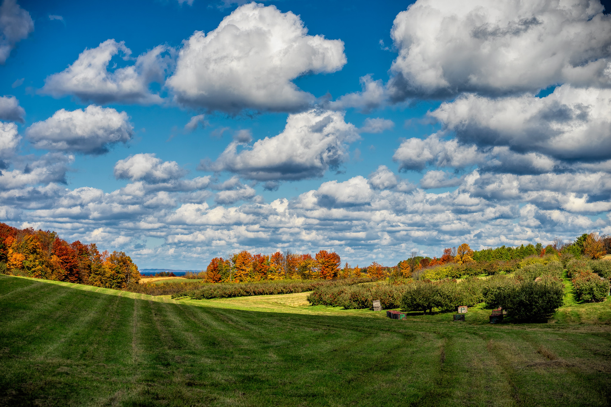 Big Sky Days by Mark Smith