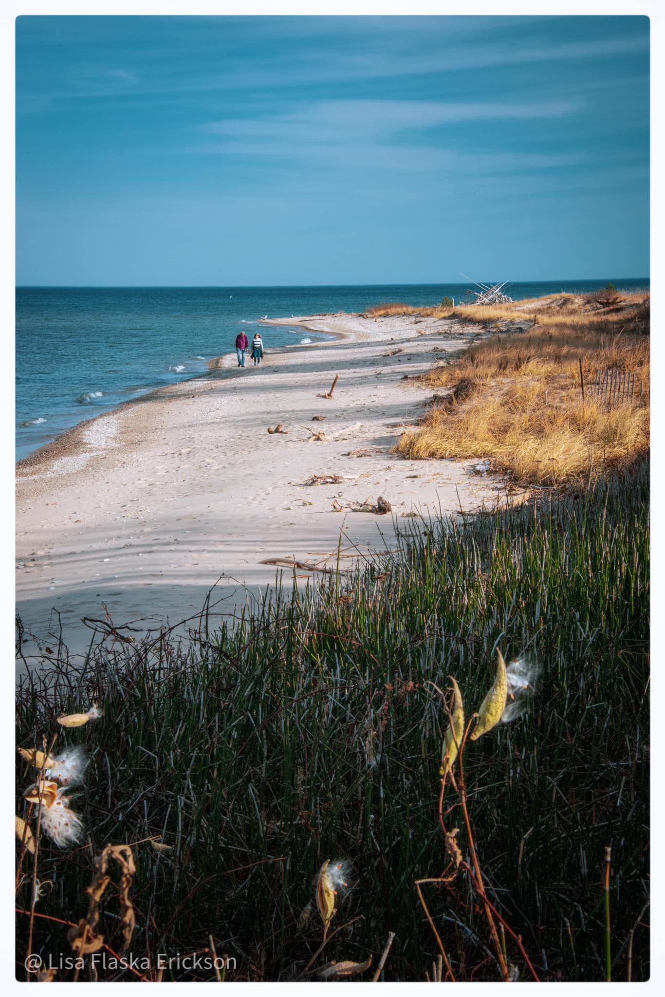 Lisa Flaska Erickson Photography