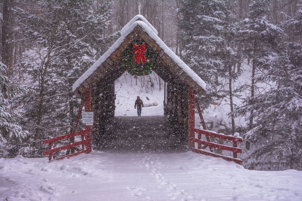 Untitled by Steve Nowakowski