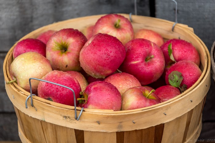Harvest Time by Jim Sorbie