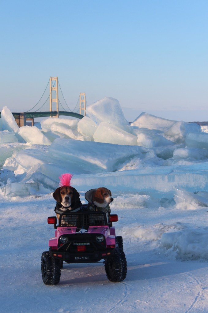 Just Cruising by Marsha Morningstar