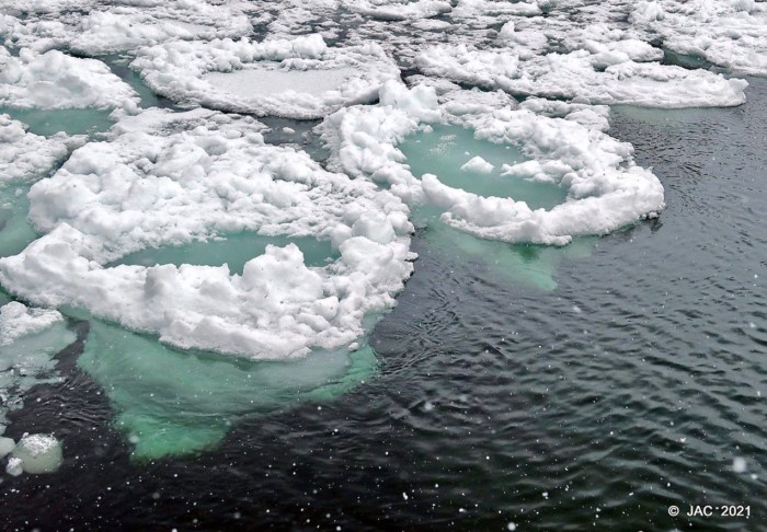 Pancake Ice by Julie